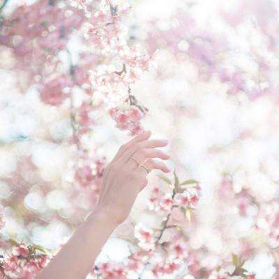 快3平台官网app下载